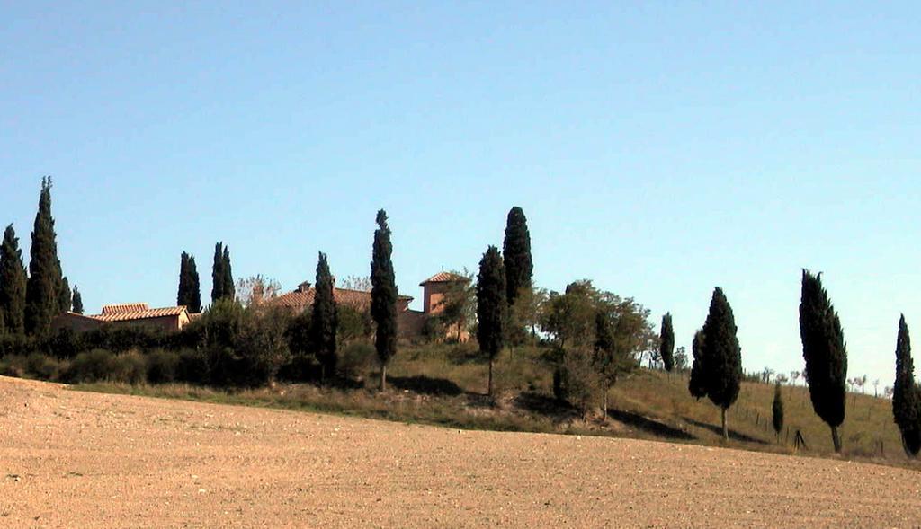Отель Castello Di Leonina Relais - Adults Only Сиена Экстерьер фото